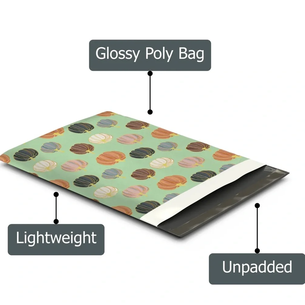 Pumpkin Patch 🎃 10x13 Poly Mailers Pack of 25